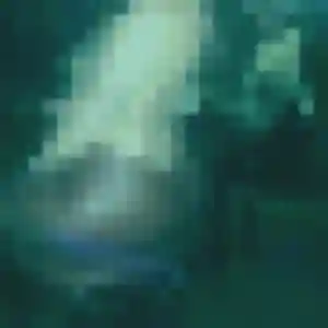 Sasha, 34 ans, connectée à Neuilly-en-Thelle pour un plan cul