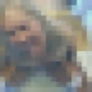 Photo exclusive de Elodie, 26 ans à Nieul - plan discret