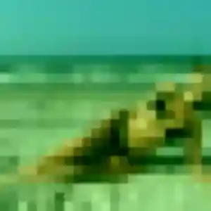 Charlotte, 23 ans, en ligne à Niherne pour une rencontre coquine