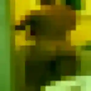 Elisa, 26 ans, connectée à Noé pour une rencontre coquine