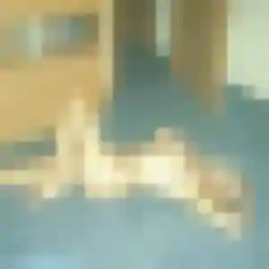 Justine, 23 ans, disponible à Nogent-le-Phaye pour une rencontre coquine