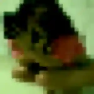 Candice (31 ans) à Nogent-sur-Marne cherche un plan cul aujourd'hui