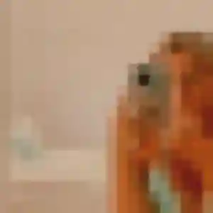 Eden, 35 ans, en ligne à Noirétable pour une rencontre coquine