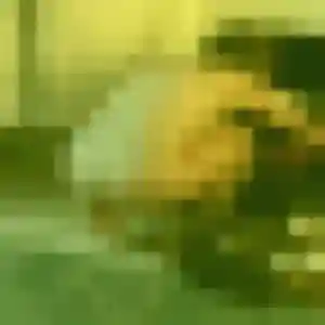 Rencontre Apolline, 22 ans à Nouvelle-Église gratuitement