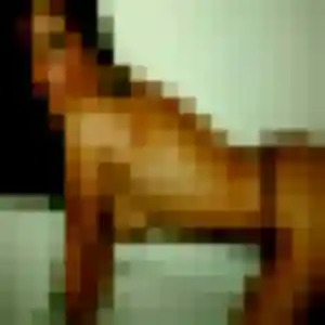 Photo exclusive de Camille, 21 ans à Nouvelle-Église - rencontre sans lendemain