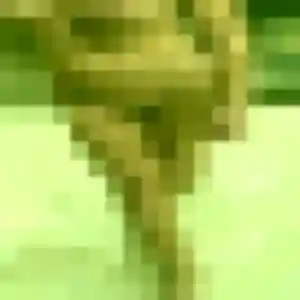 Pauline, femme de 35 ans veut plan cul à Nouvelle-Église