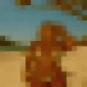 plan cul à Offwiller : profil de Charlene, 28 ans - sans engagement