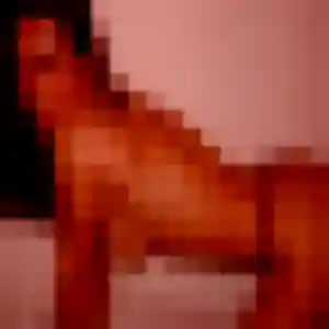 Photo privée de Amandine, 34 ans à Oisy - plan discret