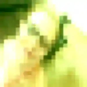 Photo de Alicia à Ollioules (32 ans) - plan cul discret