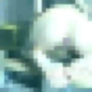 Elena, 33 ans, dispo pour plan cul à Oradour-sur-Vayres