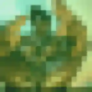 Sexy Lila, 27 ans à Ottrott - la contacter