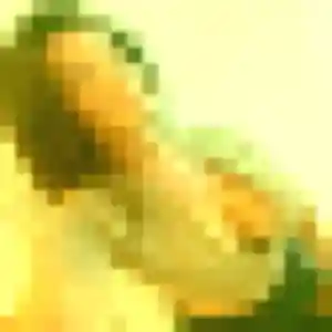 Jolie Anouk, 26 ans à Oudon - la contacter