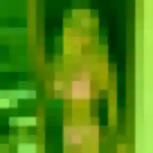 Sexy Leana, 25 ans à Ozouer-le-Voulgis - la contacter
