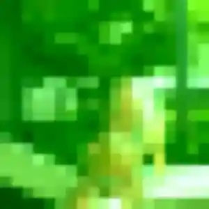 plan cul à Paimpont : photo de Anais, 21 ans - inscription gratuite