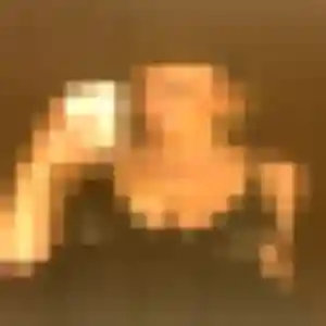 Naila de Parçay-Meslay, 30 ans - plan cul sans prise de tête