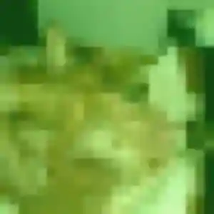Photo exclusive de Alix, 25 ans à Parigné-l'Évêque - rencontre coquine
