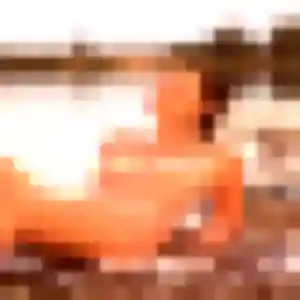 Photo de Capucine à Parnans (26 ans) - plan cul anonyme