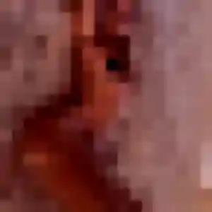 Photo de Ambre à Payrin-Augmontel (26 ans) - plan cul anonyme