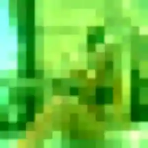 Photo perso de Violette, 30 ans à Peillon - plan discret