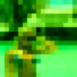 Photo perso de Jade, 29 ans à Peipin - rencontre coquine