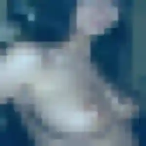 Photo exclusive de Alix, 32 ans à Petit-Mars - rencontre coquine