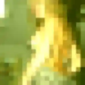 Photo de Lucie à Pinsaguel (27 ans) - plan cul discret
