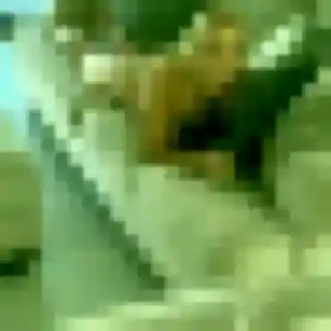 Sexy Elodie, 20 ans à Plédran - la contacter