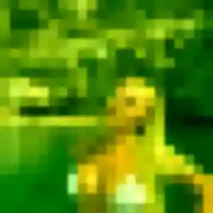 Photo exclusive de Lison, 31 ans à Plénée-Jugon - rencontre coquine