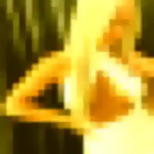 Photo exclusive de Alix, 33 ans à Plesnois - rencontre coquine