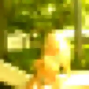 Doriane, 23 ans, en ligne à Ploërmel pour un plan cul