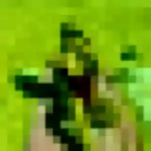 Assia (28 ans) à Plouasne attend un plan cul maintenant