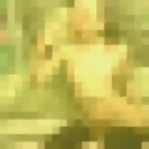 Lilou de Polincove, 29 ans - plan cul discret
