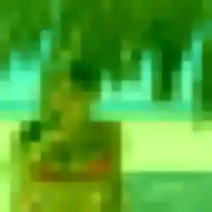 Photo exclusive de Rania, 22 ans à Pont-de-Veyle - rencontre coquine