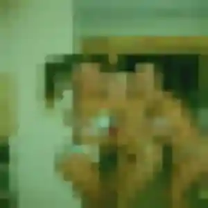 plan cul à Pont-sur-Sambre : profil de Ambre, 24 ans - inscription gratuite