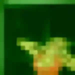 Rejoins Noemie, 33 ans à Port-Bail-sur-Mer en t'inscrivant