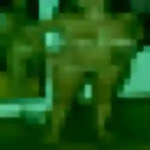 Photo de Apolline à Pujols (33 ans) - plan cul discret