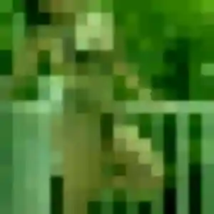 Photo de Celeste à Quarante (24 ans) - plan cul sans inscription