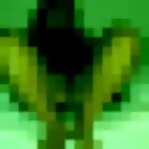 Photo exclusive de Sarah, 20 ans à Quillan - rencontre coquine