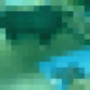 Lila, 35 ans, veut un plan cul à Rayol-Canadel-sur-Mer