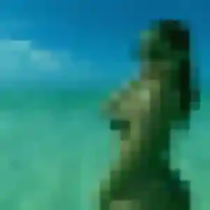 Photo de Zoe à Regnéville-sur-Mer (20 ans) - plan cul anonyme