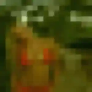 Photo de Fanny à Reilhac (33 ans) - plan cul discret