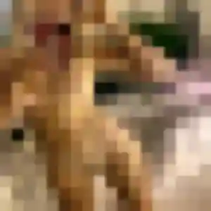 Elia, 21 ans, en ligne à Revel-Tourdan pour une rencontre coquine