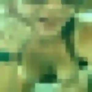 Photo perso de Selma, 29 ans à Ribécourt-Dreslincourt - rencontre coquine