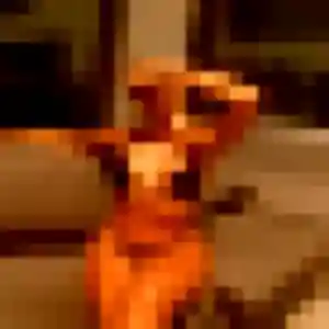 Photo exclusive de Marine, 26 ans à Rieulay - rencontre coquine