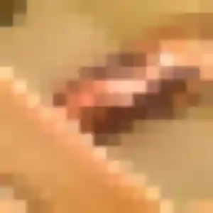 Profil de Lisa à Rignieux-le-Franc (35 ans) - plan cul discret