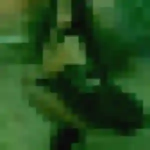 Découvre Alicia, 29 ans à Rillieux-la-Pape en t'inscrivant