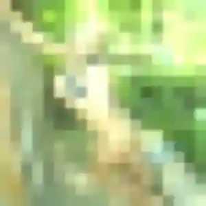 Anouk de Rillieux-la-Pape, 19 ans - plan cul discret