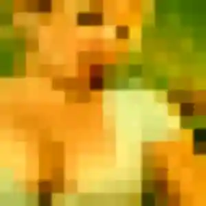 Profil de Romy à Rivière (34 ans) - plan cul gratuit