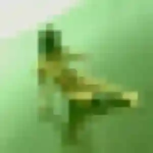 Juliette, 24 ans, disponible à Roaillan pour une rencontre coquine