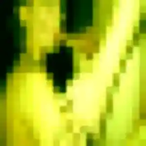 Photo de Anais à Romillé (21 ans) - plan cul anonyme